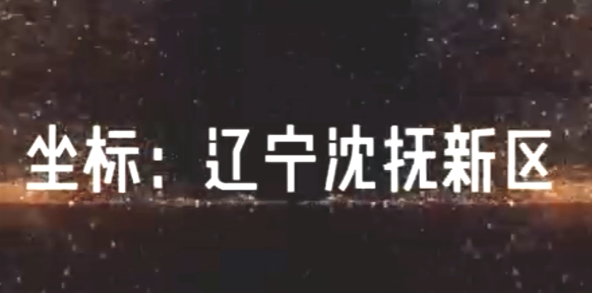 遼寧沈撫新區(qū)煤改電工程案例