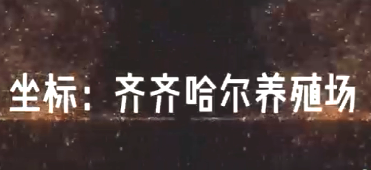 齊齊哈爾某養(yǎng)殖場(chǎng)案例現(xiàn)場(chǎng)